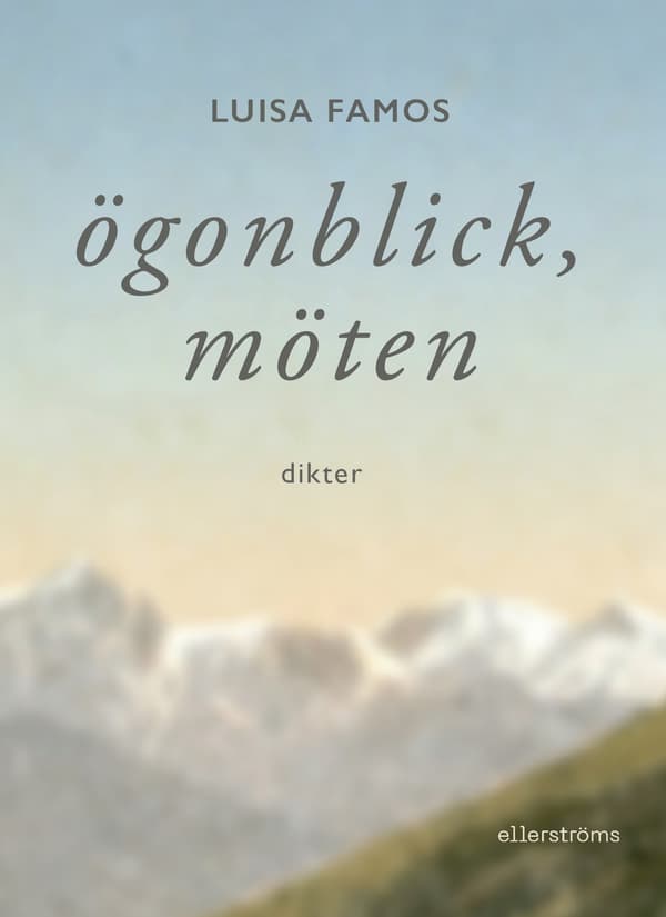 Ögonblick, möten 9789172477575
