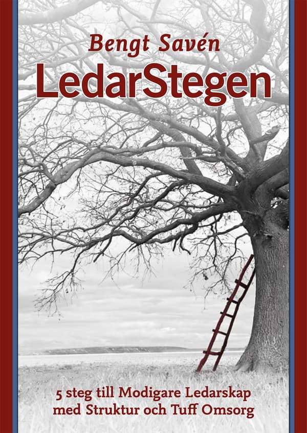 LedarStegen 9789187817434