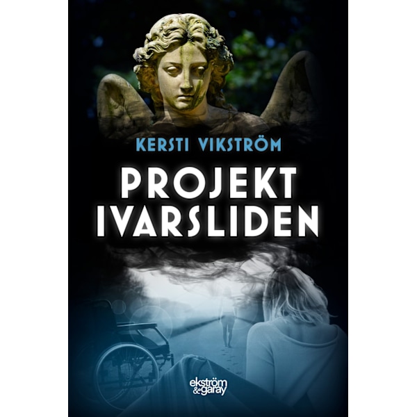 Projekt Ivarsliden 9789189706613