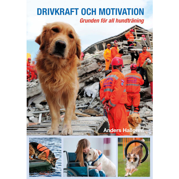 Drivkraft och motivation 9789163938382