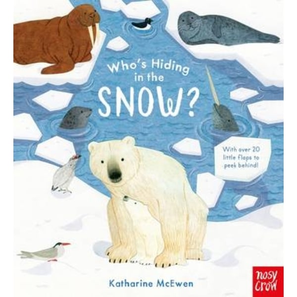 Who's hiding in the snow 9781788007818