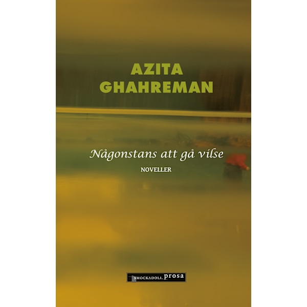 Någonstans att gå vilse 9789189099265
