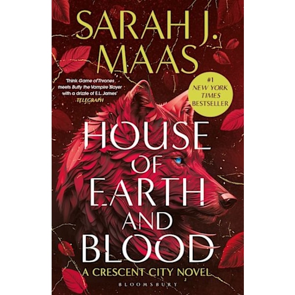 House of Earth and Blood 9781526663559