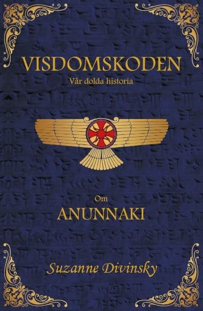Visdomskoden : vår dolda historia 9789198241310