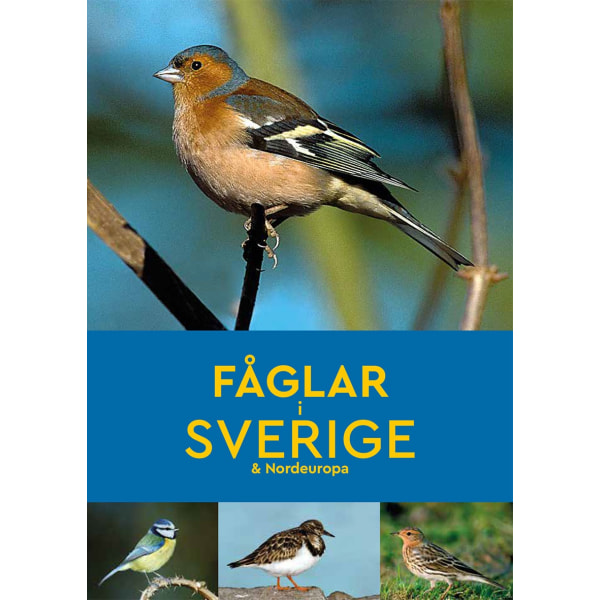 Fåglar i Sverige & Nordeuropa 9789180372268