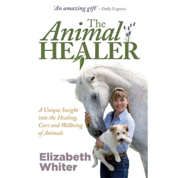 Animal healer 9781848501904