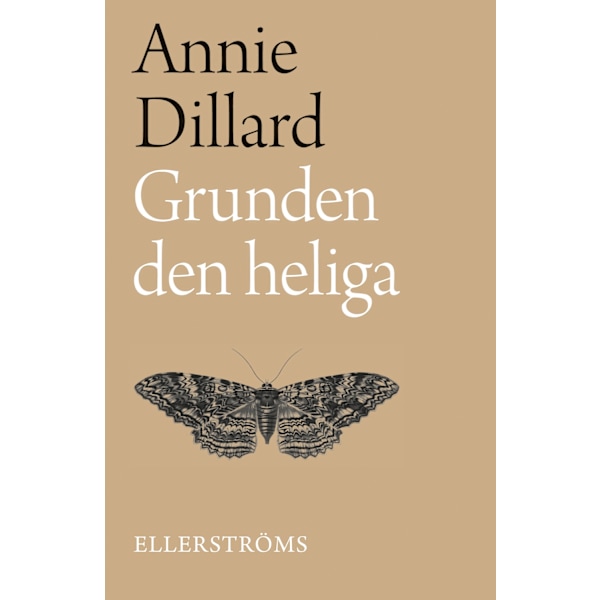 Grunden den heliga 9789172474475