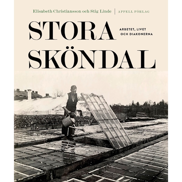 Stora Sköndal : arbetet, livet och diakonerna 9789198664218