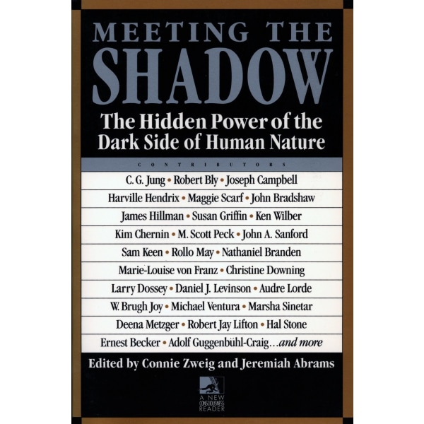 Meeting the shadow 9780874776188