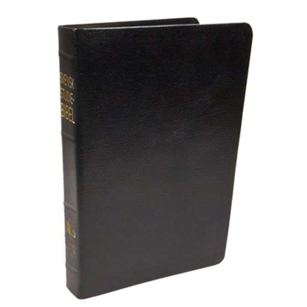 Svensk studiebibel : bibeltext 9789189071629