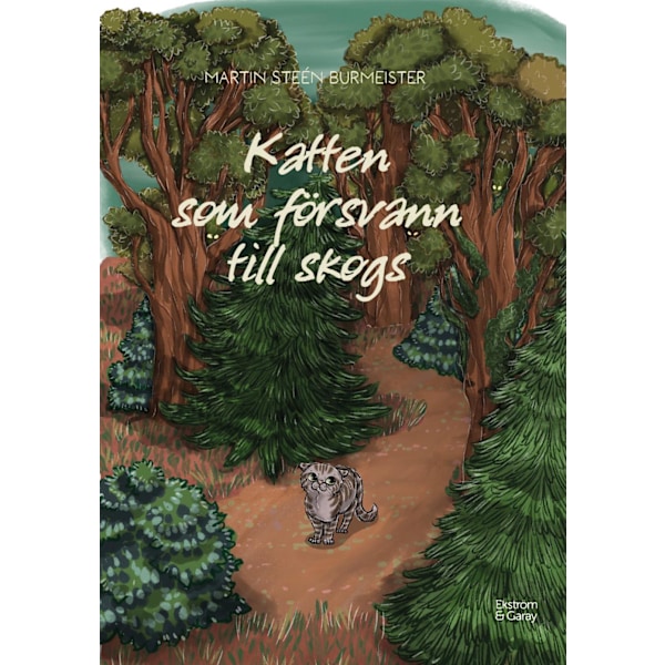 Katten som försvann till skogs 9789189850552