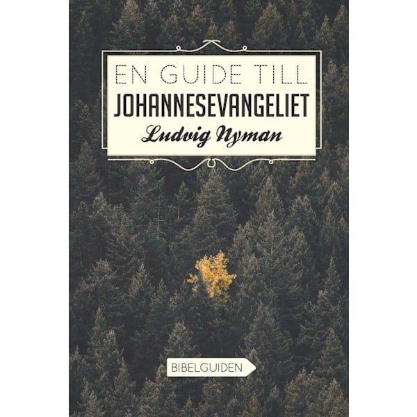 En guide till Johannesevangeliet 9789198497502
