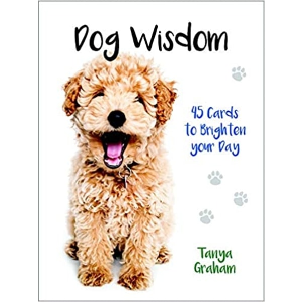 Dog Wisdom Cards New Edition 9781925538700