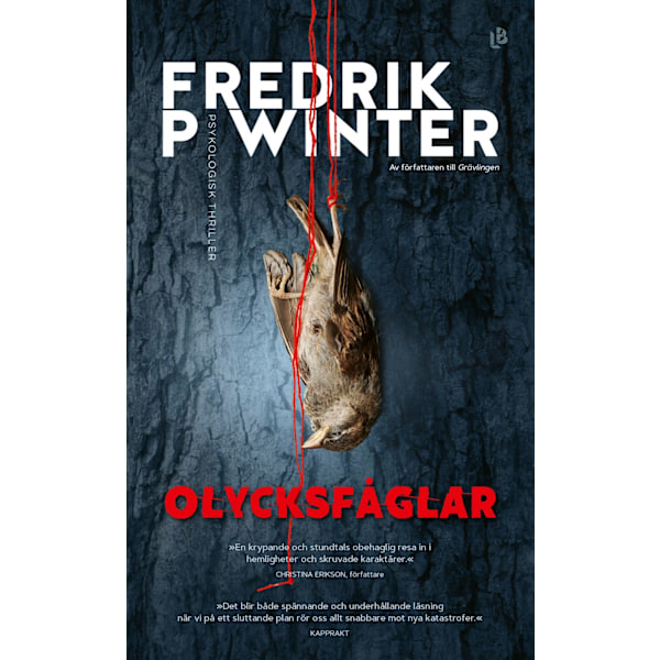 Olycksfåglar 9789177993186
