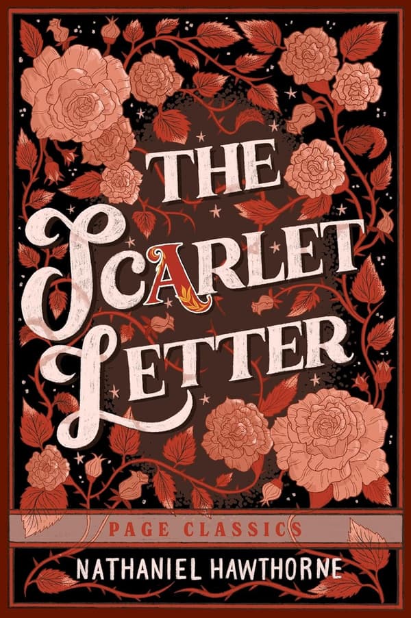 Scarlet Letter 9781648337765