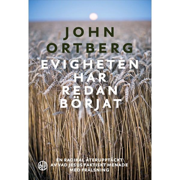 Evigheten har redan börjat 9789173878180