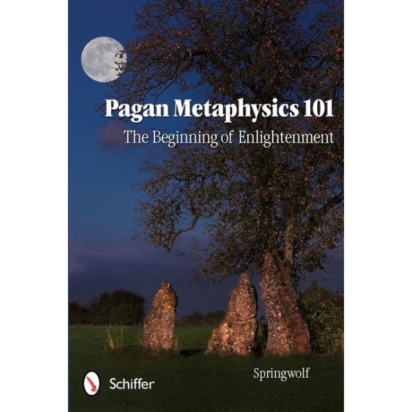Pagan Metaphysics 101 9780764338977