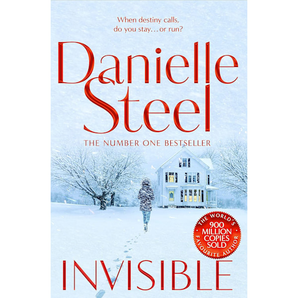 Invisible 9781529021844