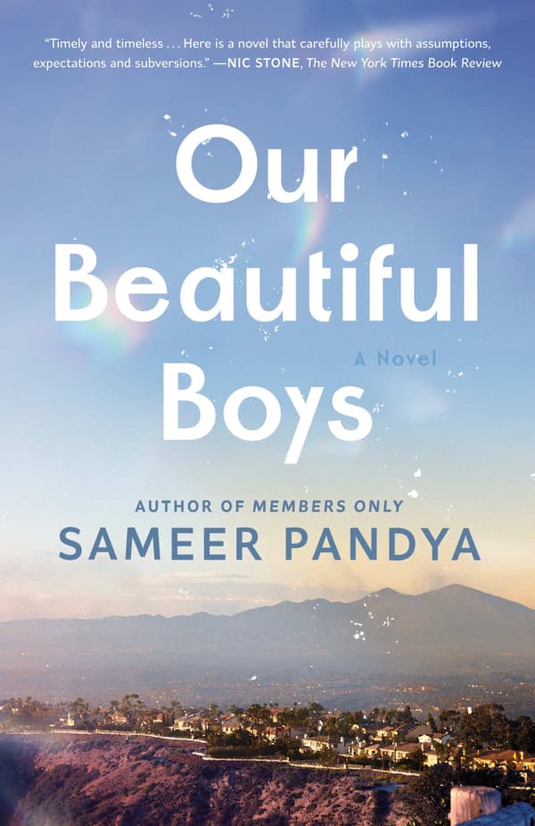 Our Beautiful Boys: A Novel 9780593726181