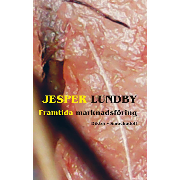 Framtida marknadsföring 9789189099005