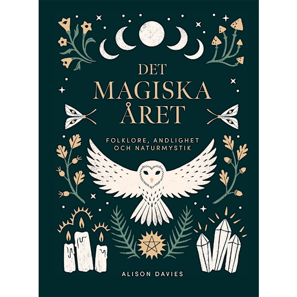 Det magiska året 9789180380706