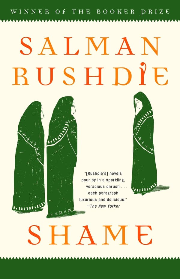 Shame: A Novel 9780812976700