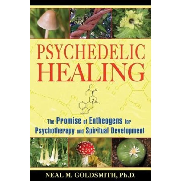 Psychedelic Healing 9781594772504