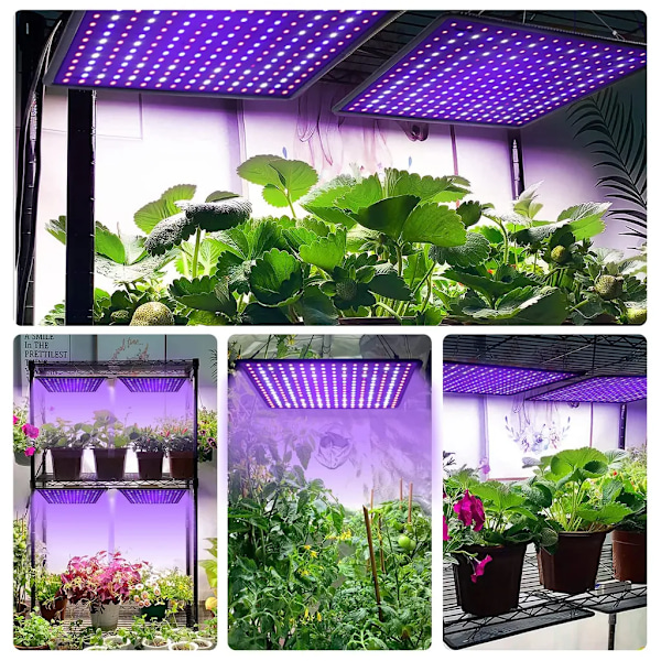 Växtlampa 256 LED, Full Spectrum Växtljus för Inomhusväxter, Fröodling