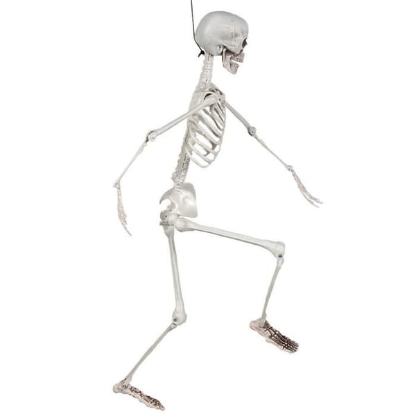Hengende skjelett - BOLAND - 90cm - Artikulerbart - Halloween-dekorasjon - Unisex
