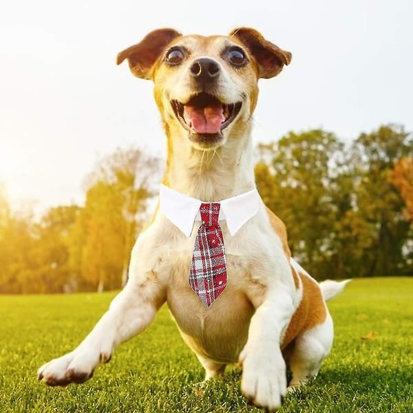 Hunde slips - Justerbar slips til hunde - Kostume slips til hunde - Fest tilbehør - Julekostume (L)