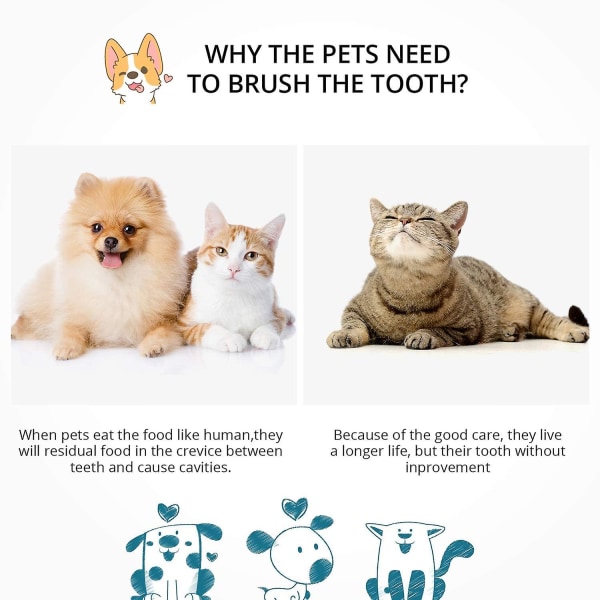 3 stycken Små sällskapstandborste Tuftad tandborste End-tuft tandborste  Avsmalnande trim tandborste Mini enkelhuvud sällskapsdjur tandborste för liten  hund katt 493b | Fyndiq