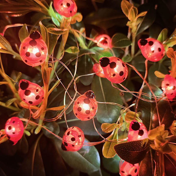 Ljusslinga i form av nyckelpigor 2M 20leds USB lysande nät