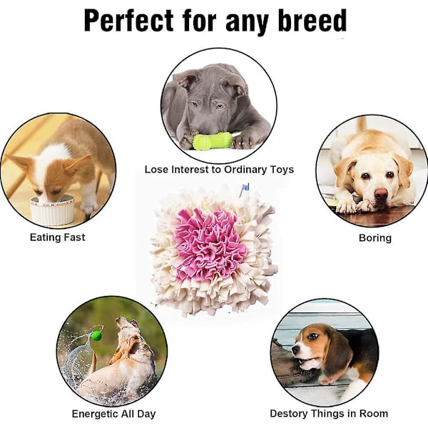 Sniffing tæppe hund lugtende øvelse sniffing tæppe fodring måtte træningsmåtte