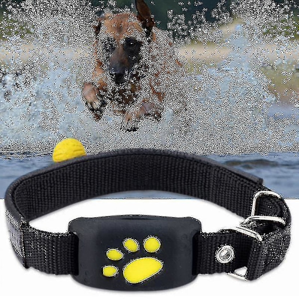 Vandtæt GPS-tracker til katte og hunde med mikrofon - Gratis app-tracker til enhver hund eller kat