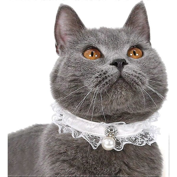 Bröllopskrage i spets för katt, halsband med pärlhänge för kattunge och valp, modernt och sött utseende (m)