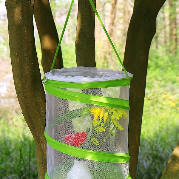 Pop-up hyönteisten ja perhosten elinympäristöhäkki, terraario, läpinäkyvä verkkoaitaus, helpompi nähdä läpi（Vihreä valkoinen）