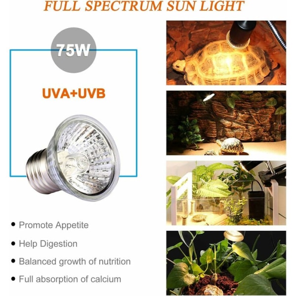 75 W UVA UVB-matelijalamppu kilpikonnan aurinkolamppujen UV-lämmittimen lampun polttimot matelijoiden akvaariokilpikonnien liskojen käärmeille 6 kappaleen pakkaus