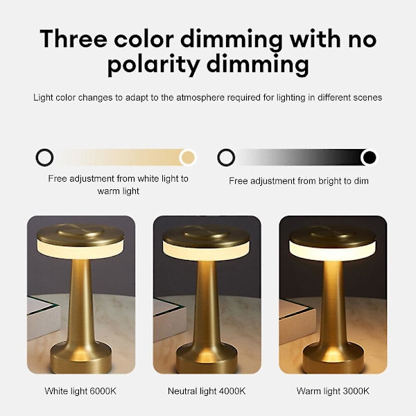 Modern LED-bordslampa med touch-dimmer, USB-laddningsbar sladdlös bar nattlampa -GSL（Silver）