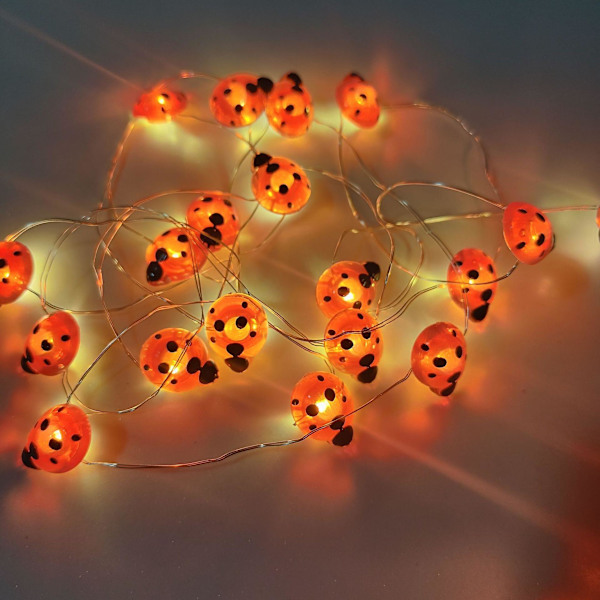 Ljusslinga i form av nyckelpigor 2M 20leds USB lysande nät