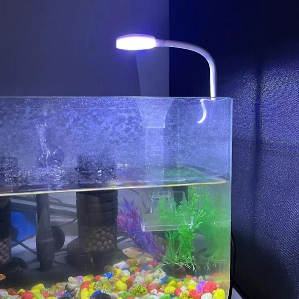 5w fiskakvarium klämlampa energibesparande flimmerfri klämlampa för daglig användning（5W，Vit）