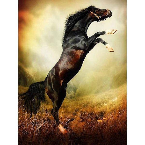 Dww-30x40 cm 5D DIY Full Diamond Painting, Running Horse Diamond Painting DIY Diamond Rhinestone Canvas Cross Stitch Painting by Number for Decora