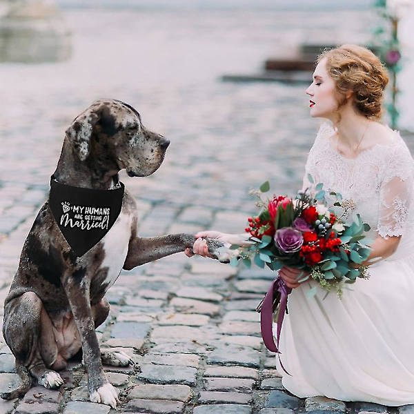 Bryllupshunde bandana, 2-pak, hundesjal, forlovelsesmeddelelse til hunde og katte（B-S）