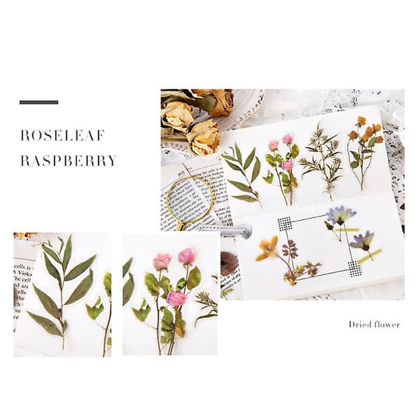 40 stk. Simuleringsblomster Scrapbooking Sticker Pack Planter Serie Transparent Dekal Samling til（D）