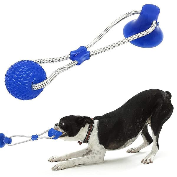 Sugkopp Hund Leksak, Husdjur Molar Multifunktionell Interaktiv Hållbar Rep Leksak