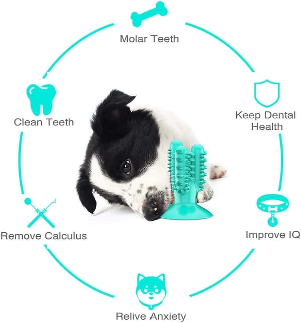 Sugkopp Hund Tandborste Tänder Pinne Mat Läcka Bite Resistenta Leksaker Molar Tugga Husdjur