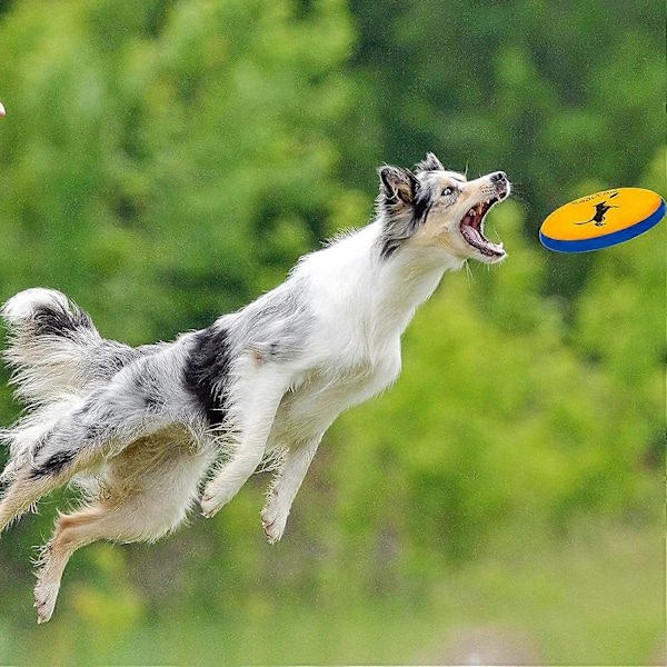 Hundflygande Diskar - 2-pack Interaktiva Hämta Leksaker Hållbara Mjuka Vattentäta Hundar Flyter i Vatten & Säkra på Tänder