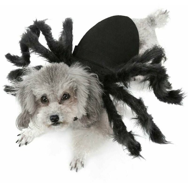 Halloween hundekatteedderkoppekostume kæledyrsfesttøj til små hundekatte