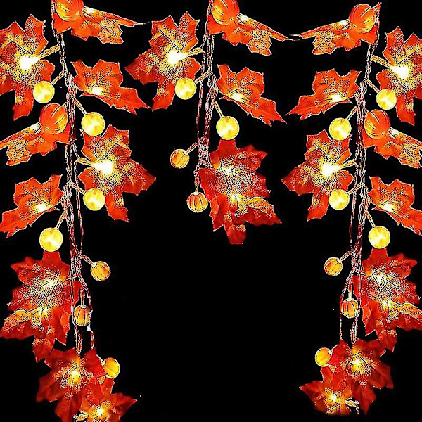 10/20/40 LED Pumpa Blad Ljusslinga Halloween 3D Pumpa