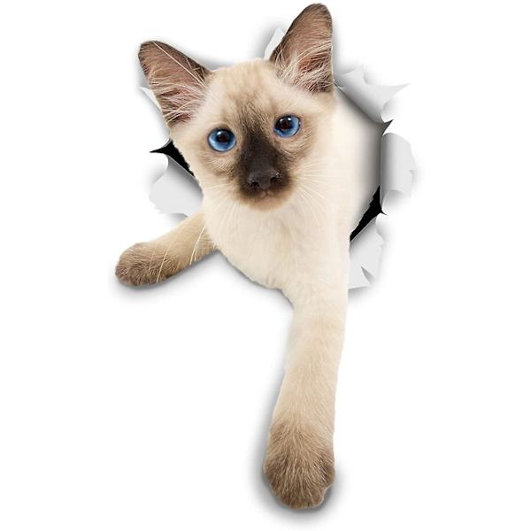 3D-klistremerker for katter – 2-pakning – Breakout Siamese Cat-klistremerker for vegg – Klistremerker for soverom – Kjøleskap – Toalett – Rom