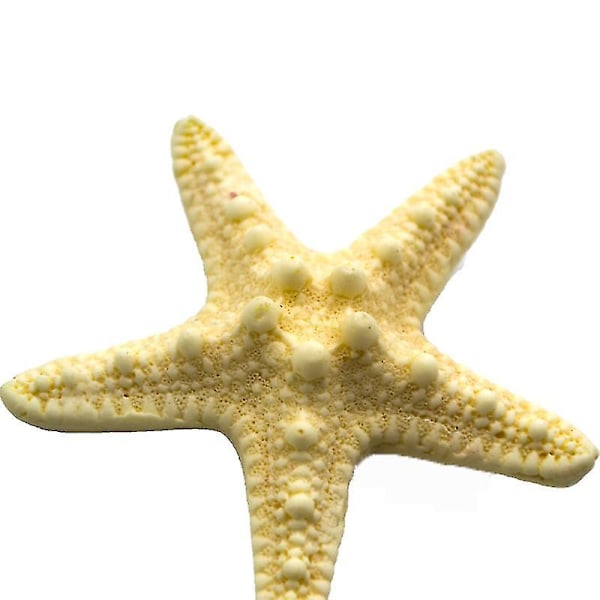 2-pakkaus meritähti hiuspidikkeitä Mermaid hiuspidikkeitä hartsi Pretty Beach hiuspidikkeitä tytöille (meritähti)